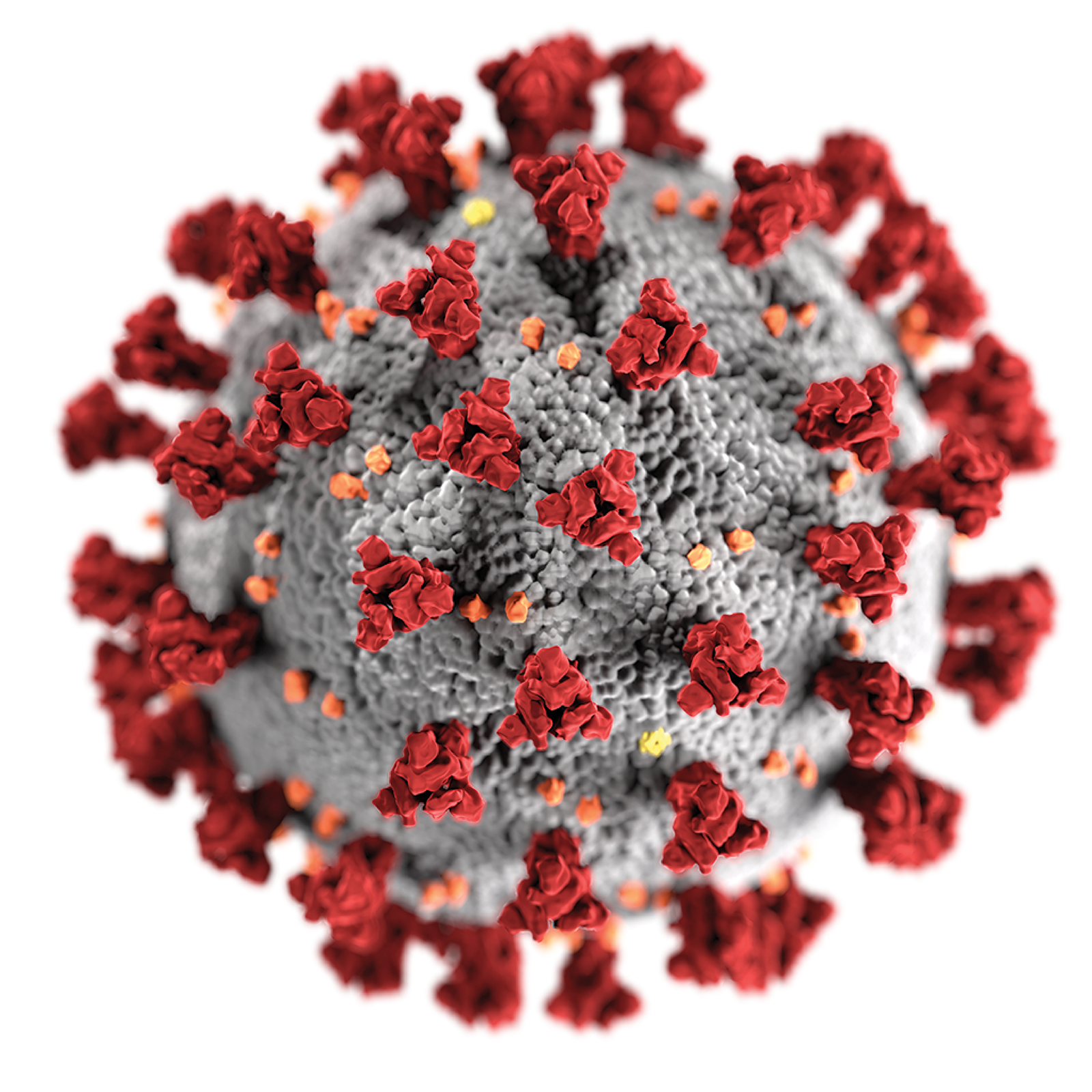 coronavirus-covid-19 2017 COCC 50th Anniversary